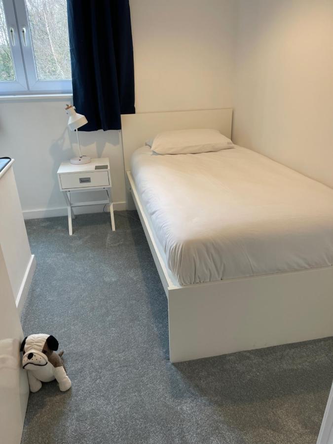 The Beeches - Serviced Duplex Apartment Sheffield Buitenkant foto